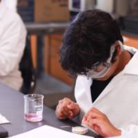 Student analyzing their test